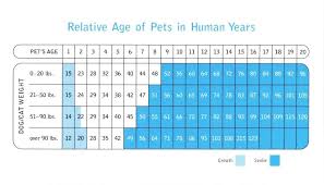 27 Reasonable Purina Dog Age Chart