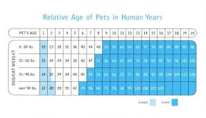 27 Reasonable Purina Dog Age Chart