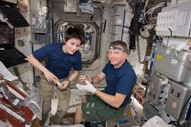 I will humbly try to draw on… Esa European Space Agency Astronaut Samantha Cristoforetti And Nasa Astronaut Terry Virts Nasa