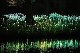 Bruce Munro S Stunning Led Installations Light Up Longwood Gardens Light Art Installation Lights Artist Light Art