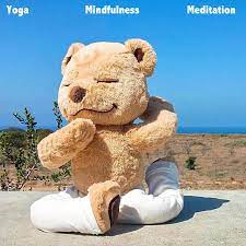 Maybe you would like to learn more about one of these? Master Bear Teaching Yoga Meditation Mindfulness In Fun With Internal Frame Allows Any Yoga Position Plush Bear Toy Kid Gift Plush Bear Bear Toytoys Kids Aliexpress
