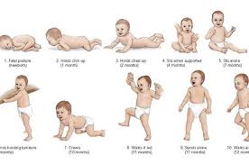 Perkembangan bayi diumur empat bulan biasanya si bayi mulai bisa mendorong badan ke atas dengan tangan pada posisi telungkup, bahkan juga bisa duduk bertumpu menggunakan lengan. 12 Momen Emas Bayi Yang Sebaiknya Jangan Dilewatkan Nakita