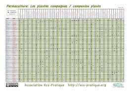 Companion Plants Chart Eco Pratique