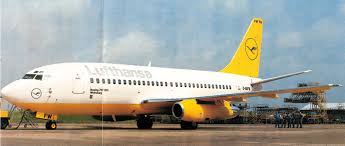 Image result for Natural Yellow 2000 Fleet
