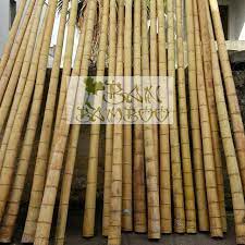 Esistono canne di bambù con diametro più grande o canne di bambù più esili e sottili. Canne Di Bamboo Da Arredamento Banbamboo