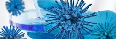 A number of coronavirus vaccines have already been approved and millions of people have been inoculated. Researchers In Sao Paulo Will Combine Biotechnological Techniques To Formulate Covid 19 Vaccine Agencia Fapesp