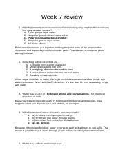 Phospholipid Bilayer (A-Level Biology) - Study Mind