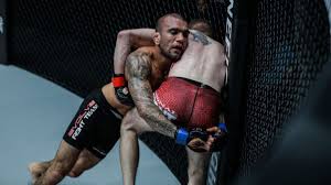 The industry pioneer in ufc, bellator and all things mma (aka ultimate fighting). 14 Mma Fighters With Incredible Ape Indices Howtheyplay