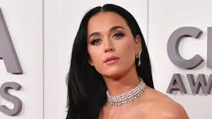 Katy Perry celebrates in drop-dead gorgeous waist-cinching holiday gown  with a family photo