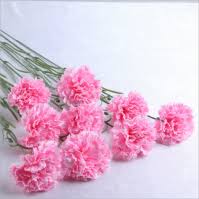 Various indoor outdoor plants creepers hedges vanda orchids for sale contact teddy for prices. South Africa Marigold Flowers South African Marigold Flowers Manufacturers Made In South Africa
