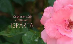 Isparta valisi ömer seymenoğlu' nun 19 mayıs atatürk'ü anma, gençlik ve spor bayramı mesajı. Guller Diyarindan Kokular Isparta Turkiye Nin En Guzel Gul Bahcesi Acilir Pembe Gulu Dalinda Bulbul Sesi Sonsuza Dek Surecek Akan Huzur Cesmesi Mutluluga Mekandir Davet Eder Herkesi