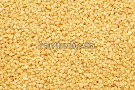 We did not find results for: Cous Cous Macro Couscous Stock Image 4762798 Panthermedia Stock Agency