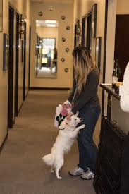 From kittens, puppies and dogs, tortoises to rabbits and hamsters. A Touch Of Love Dog Spa Gravenhurst