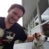 Looking for affordable dog boarding? Dog Boarding Darmstadt Better Than A Dog Kennel Or Dog Hotel Pawshake De