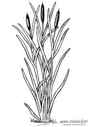 Download And Print Your Page Here Catail Plant Wood Burning Patterns Pyrography Patterns Wood Burning Art