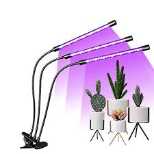 Its 45 watt led light not only offers bright light for indoor farming, but also helps you in saving extra bucks on your power bills. Top 10 45 Watt Led Grow Lights Of 2021 Best Reviews Guide