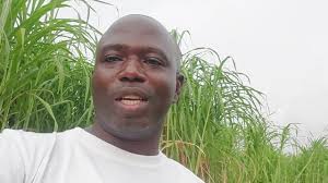 le maralfalfa, la plante fourragère des futurs millionnaires 00226 76 00 97  06