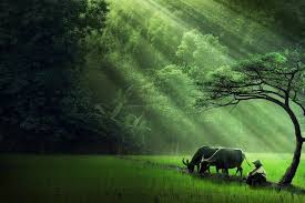 Pemandangan alam indonesia jagad23 foto indonesia via fotoindonesian4uk.blogspot.com. Wallpaper Pemandangan Indonesia Wallpaper Pemandangan Wallpaper Pemandangan Indonesiaht Nature Photography National Geographic Photography Dramatic Photography