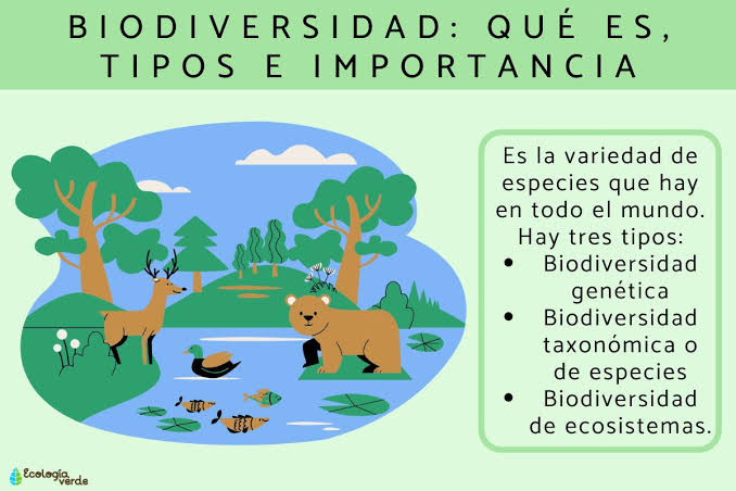 Biodiversidad: qué es, tipos e importancia - Resumen