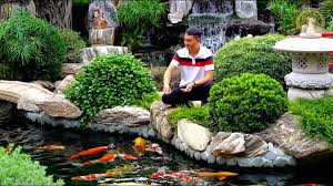 Have your next event at redland koi gardens! Most Beautiful Backyard Fish Pond Of Asia Garden Designs Youtube