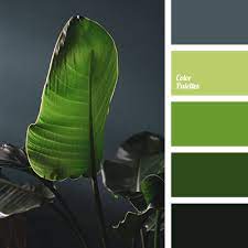 What colors go well with dark green. Dark Green Color Palette Ideas