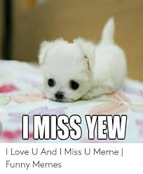 Imiss Yew I Love U And I Miss U Meme Funny Memes Funny Meme On Me Me