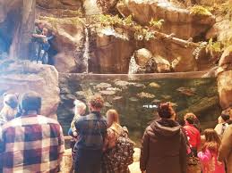 Located next to bass pro shops this beautiful park features an adjacent playground, a climbing rock wall, a lake, a trail, and nearby restrooms. Bass Pro Shop Visit Ct