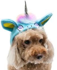 magical unicorn character hat for dogs in 2 colors pink or