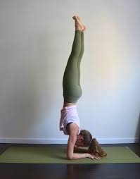 5 Steps To Practice Before Even Attempting Forearm Stand Forearm Stand Yoga Handstand Yoga Poses For Beginners