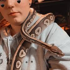 Anyone in NC Greensboro need any substrate mix? I'm switching to these and  have about a 5 gallon bucket full