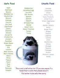 Hedgehog Safe And Unsafe Food List Hedgehog Pet Hedgehog Food Hedgehog Pet Cage