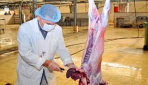 المدينة المنورة تعلن جاهزية المسالخ استعدادا لعيد الأضحى