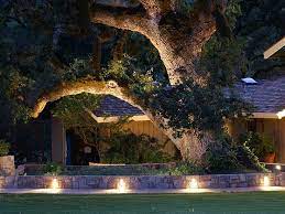 Outdoor Lighting Ideas Www Lightingstores Eu Lightingstores Lightingideas Lightingdesign Outdoor Landscape Lighting Outdoor Landscaping Backyard Lighting