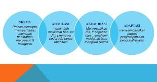 Vygotsky menekankan pemusatan hubungan sosial yang mempengaruhi perkembangan kognitif, karna pertama tama anak. Teori Perkembangan Kognitif Menurut Piaget Dan Vygotsky Educate By Rima