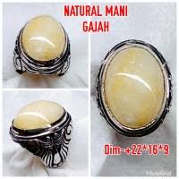 2,275 likes · 11 talking about this. Jual Batu Mani Gajah Murah Harga Terbaru 2021