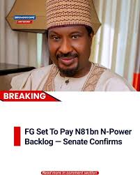 What are the financial implications of setting up this committee?