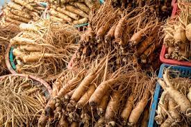 68 ginseng root stock video clips in 4k and hd for creative projects. Ginseng Health Benefits Facts And Research