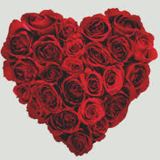 Check spelling or type a new query. Brandy S Flowers Home Facebook