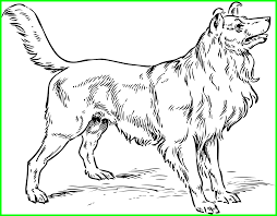 We did not find results for: Download Appealing Big Dog Coloring Sheet Pics For Pages Trends Realistic Dogs To Color Full Size Png Image Pngkit