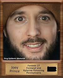 Finding Comfort in the Presence of a Red Cardinal After Losing a Loved One