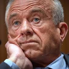 Boys Basketball: Fulcher beats buzzer, lifts Regis Jesuit over Highlands  Ranch into 6A Great 8