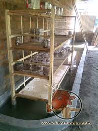 Maybe you would like to learn more about one of these? Kroto Jogja