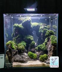 2018 Aquatic Experience Coverage Part Ii Aquascaping Contest In 2020 Fresh Water Fish Tank Aquascape Aquascape Aquarium