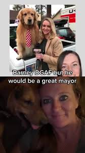 Barney and Nutmeg Dog Update