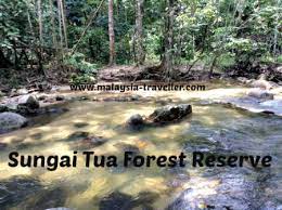 We also provide various type of exciting activities and packages. Sungai Tua Recreational Forest Selangor State Park