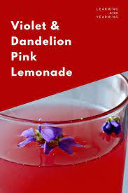 Violet Dandelion Pink Lemonade Pink Lemonade Organic Lemons Dandelion Recipes