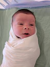 August 2017 Newsletter Items