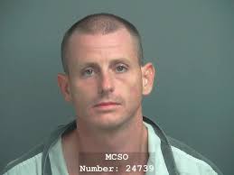 Montgomery County Precinct 4 arrests 12