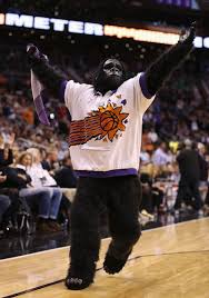 Well you're in luck, because here they come. Go The Gorilla Phoenix Suns Sportsmascots Wikia Fandom