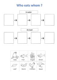 Food Chains Interactive Worksheet In 2020 Food Chain Food Chain Worksheet Worksheets
